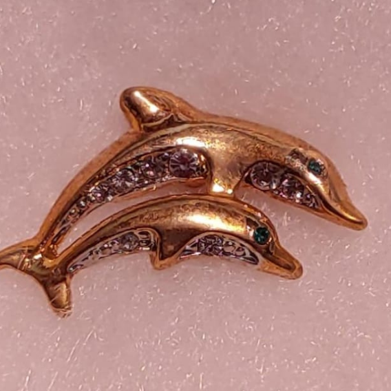 Brass Dolphin Brooch