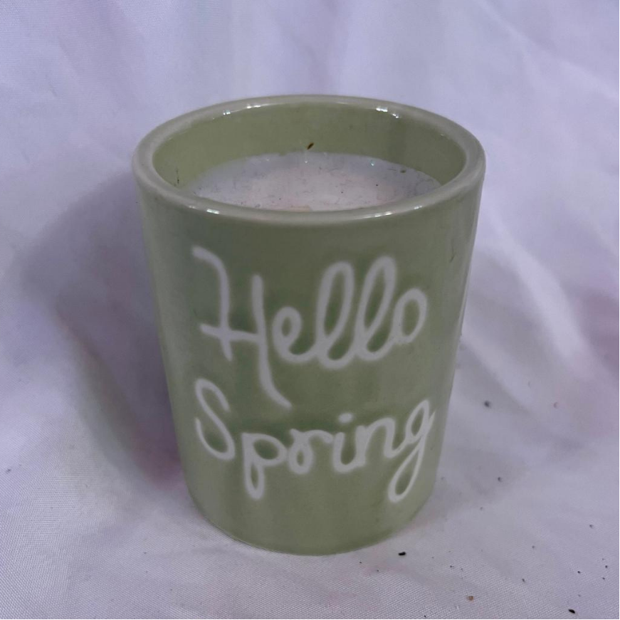 20oz Vintage Collectable “Hello Spring” Mug