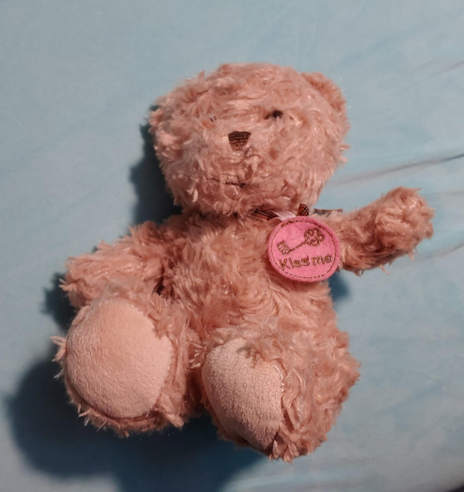 9" Kiss me Teddy Bear