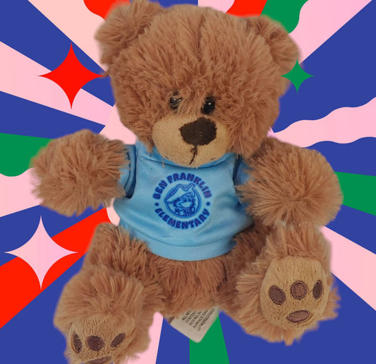 Small Build A Bear Brown Bear
