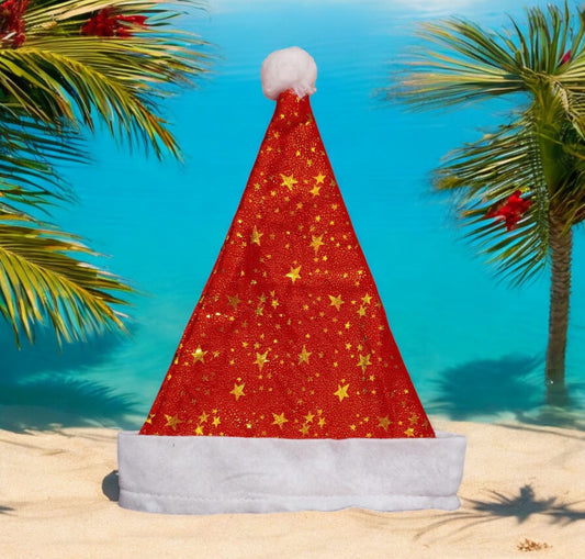 Starry Christmas Hat