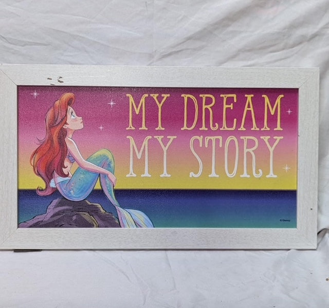 Vintage Framed Inspiring Ariel Artwork