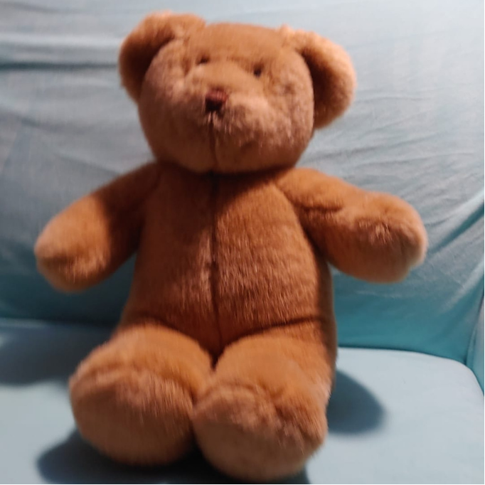 Cute Teddy Bear Plush
