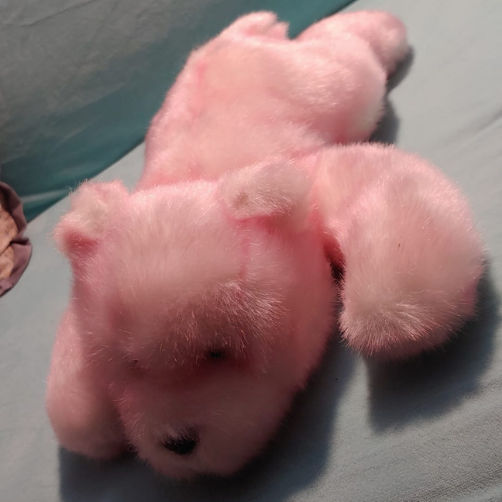 15.5" Pink Teddy Bear