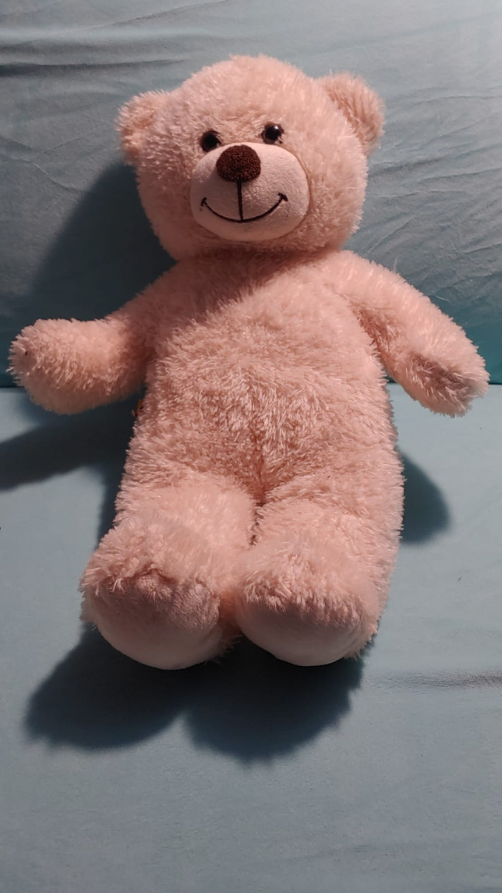 17" Pink Teddy Bear