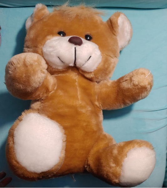17" Plush Brown Bear