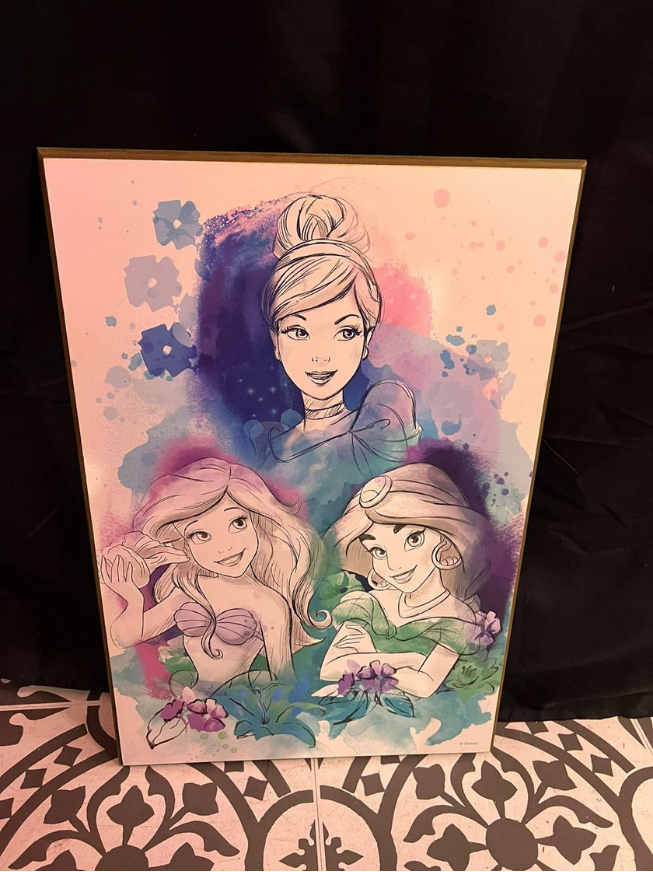 13x19 Vintage Disney Princess Artwork on Wood- Cinderella, Ariel, Jasmine