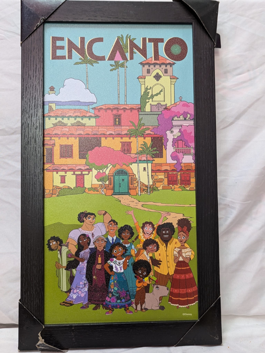 13.5 x18.5 Framed Encanto Artwork