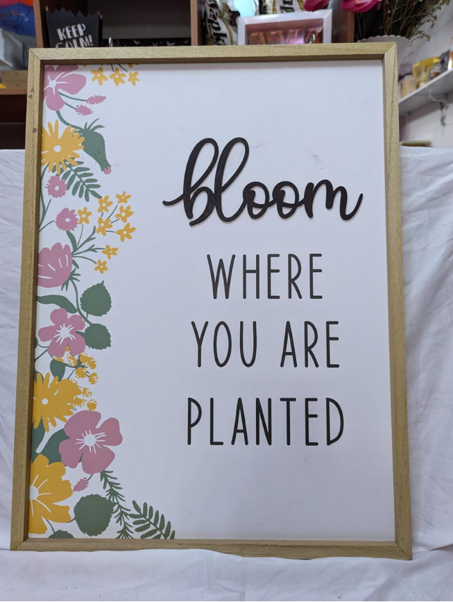 18x24 Framed Bloom Where Your Are Planted Artwork